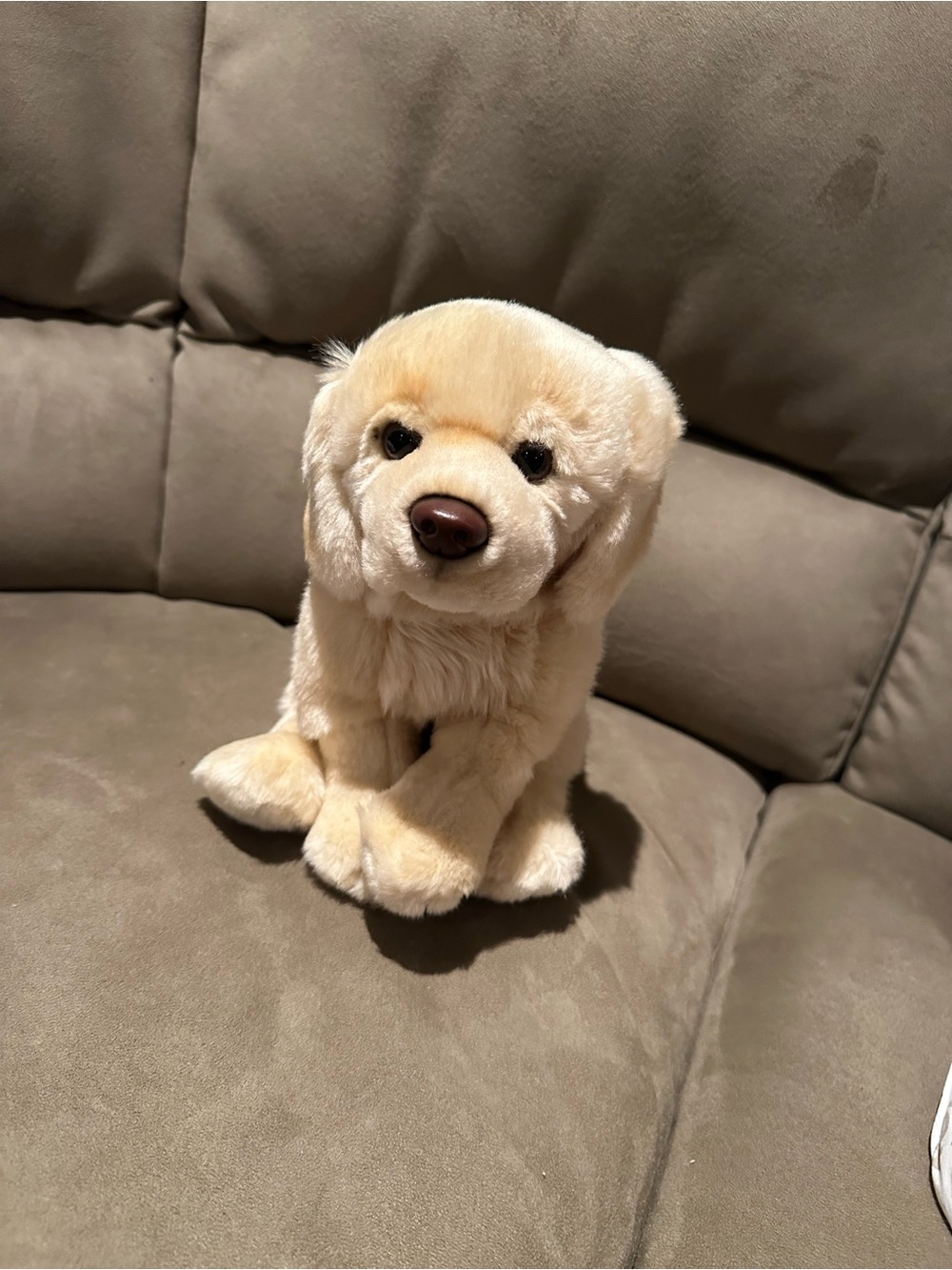 Webkinz Signature Golden Retriever Plush (no code)